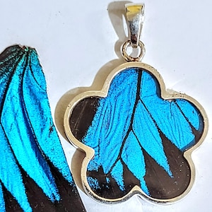 NEW FLOWER shaped!  real butterflies, butterfly pendants, butterfly earrings, real butterfly gifts, jewelry with butterfly wings