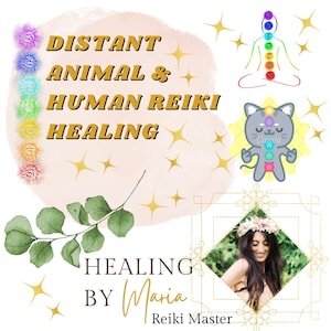 Puede incluir: Gráfico digital que promociona la curación Reiki a distancia para animales y humanos. La imagen presenta texto, ilustraciones de chakras, un gato y una persona. El texto incluye "Curación por Maria, Maestra Reiki". El fondo es rosa suave con estrellas doradas.