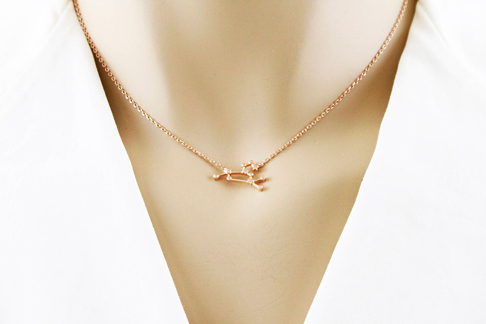 Leo Locket Necklace main image 1