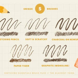 May include: Five unique sketching brushes, including "Sketching Pencil", "Soft & Scratchy", "Charcoal on Newsprint", "Paper Tiger", and "Graphite (Monoline)". The brushes are shown on a grid background with a pencil and eraser.