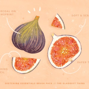 May include: A digital illustration of a fig fruit drawn in different styles. The fig is drawn with charcoal on newsprint, soft and scratchy pencil, and sketching pencil. The text "SKETCHING ESSENTIALS BRUSH PACK // THE GLADDEST THING" is at the bottom of the image.