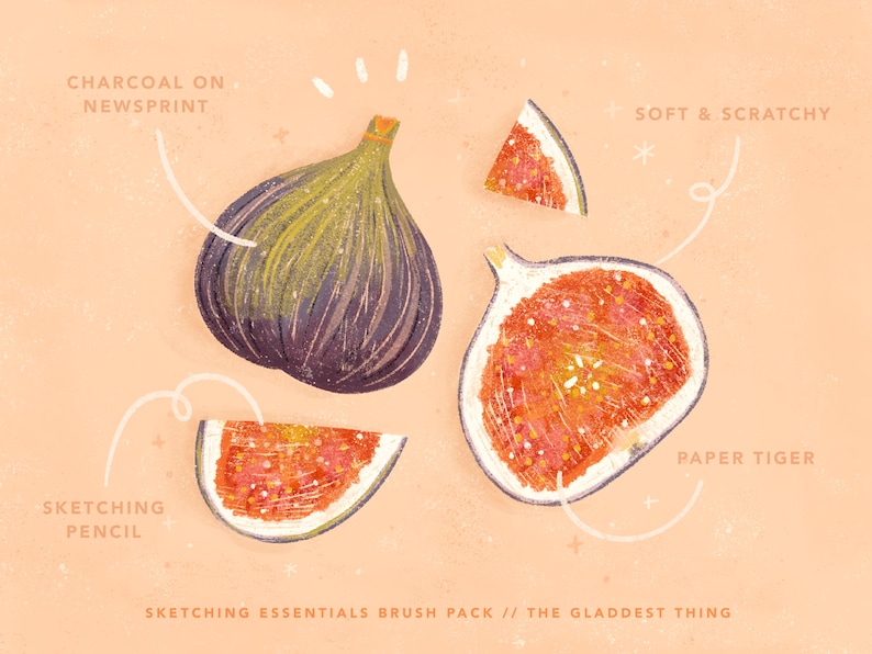 May include: A digital illustration of a fig fruit drawn in different styles. The fig is drawn with charcoal on newsprint, soft and scratchy pencil, and sketching pencil. The text "SKETCHING ESSENTIALS BRUSH PACK // THE GLADDEST THING" is at the bottom of the image.