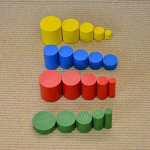 Montessori Wooden Educational Puzzle / Knobless Cylinders Set - Etsy Canada