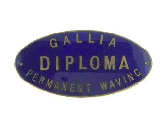 Spilla Smaltata da Collezione Pin Birmingham Thomas Fattorini Gallia Diploma