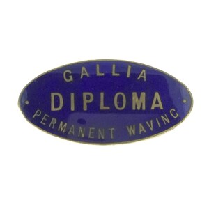 Broche esmaltado coleccionable Birmingham Thomas Fattorini Gallia Diploma