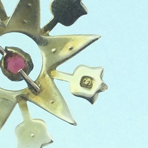 May include: A gold star-shaped brooch with a red gemstone in the center and a 925 hallmark on the back.