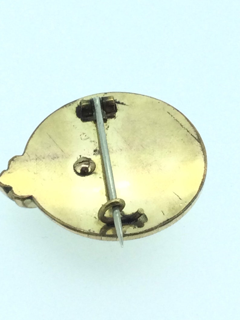 Victorian Coral Gold Filled Brooch Pin