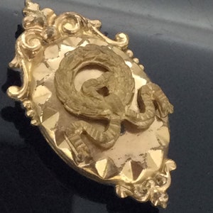 May include: A gold-colored metal pin with an ornate design. The pin features a stylized snake with its tail in its mouth, a symbol of eternity.