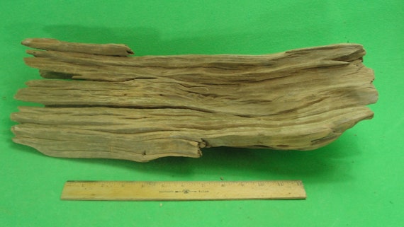Cypress Driftwood from the Swamps of Louisiana Natural Cypress Driftwood