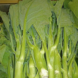 May include: A bunch of green leafy vegetables with thick stalks. The stalks are bundled together and have a light green color. The leaves are a darker green and have a slightly rough texture.