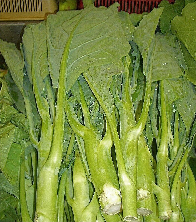 KAILAAN Chinese Broccoli Kale KAI LANS Asian Green Gai Lan Heirloom Seeds