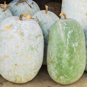 a bunch of green and white gourds sitting on top of a wooden table