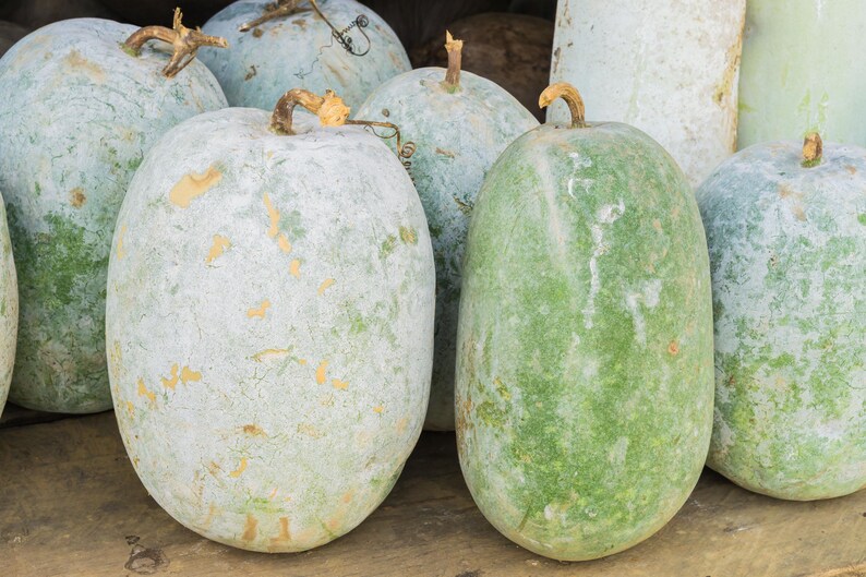 a bunch of green and white gourds sitting on top of a wooden table