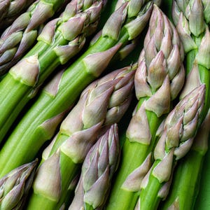 Asparagus Seeds Mary Washington, Non GMO, Shipped with Tracking, Garden Planting, Gardening Gift, Fresh Seeds