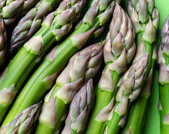 Asparagus Seeds Mary Washington, Non GMO, Shipped with Tracking, Garden Planting, Gardening Gift, Fresh Seeds
