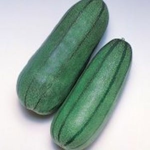May include: Two green striped gourds, one larger than the other, are displayed on a white surface. The gourds have a smooth, slightly textured skin.