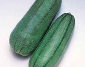 Green Striped Pickling Melon Seeds Cucumis Melo Var Conomom Seed, Tracking Included, , Gardening Planting, Heirloom Seeds