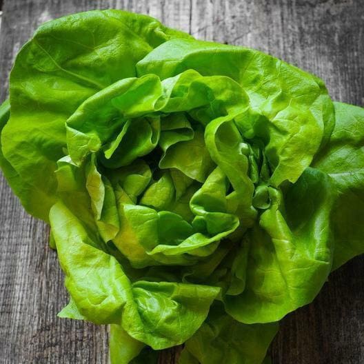 Butterhead Lettuce Seeds, Non-GMO, Tracking Included, Heirloom Vegetable Seeds
