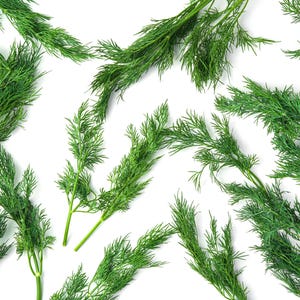 a bunch of green plants on a white surface