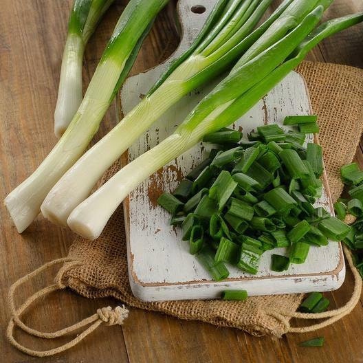 Tokyo Long Bunching Onion Seeds NON-GMO, Allium Fistulosum, With Tracking