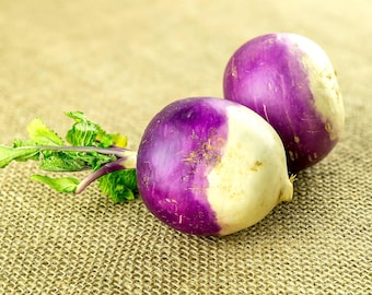 American Purple Top Rutabaga Non-GMO Seeds, Brassica napus Variety, Organic Gardening, Heirloom Veggie