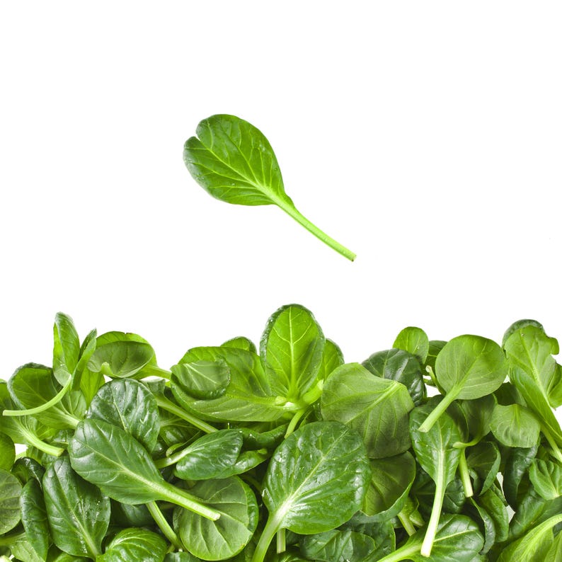 a pile of spinach leaves on a white background