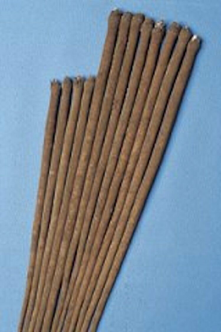 Burdock Gobo Watanabe Early Arctium lappa Seeds, Non-GMO, Tracking Included