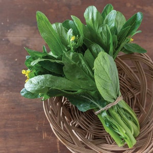 May include: A bunch of fresh green bok choy with yellow flowers, tied together with twine, in a woven wicker basket.