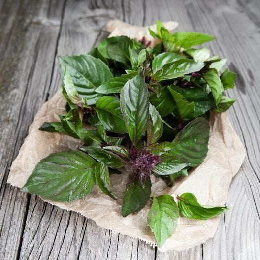 Thai Basil Seeds Non-GMO Herb, Ocimum Basilicum Seeds, Tracked Shipping