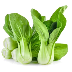 Canton Pak Choi Bok Choy Seeds, Non-GMO Chinese Cabbage Seeds, Fast Shipping with Tracking