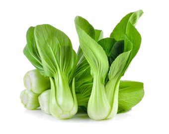 Canton Pak Choi Bok Choy Seeds, Non-GMO Chinese Cabbage Seeds, Fast Shipping with Tracking