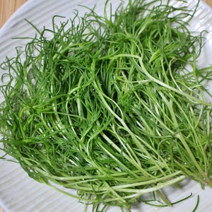 a white plate topped with green grass on top of a wooden table
