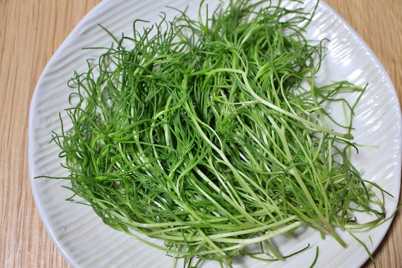 a white plate topped with green grass on top of a wooden table