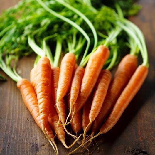 Imperator 58 Carrot Seeds Heirloom Non-Gmo, Tracking Included, Garden Supply