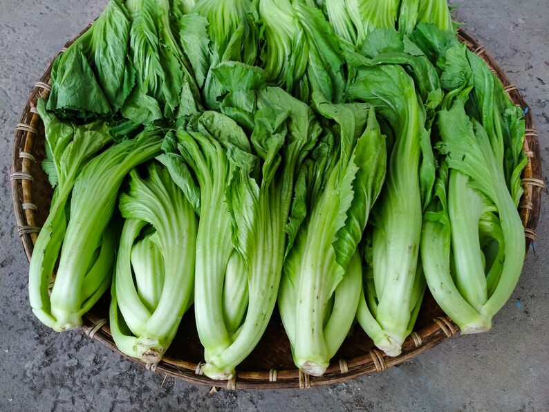 a basket filled with lots of green vegetables