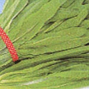 May include: A bunch of green leafy vegetables tied together with a red rubber band.