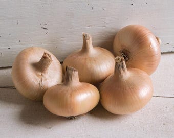 May include: A cluster of five round, light brown onions with textured skin and dried stems. The onions are arranged on a white wooden surface, with a white wooden backdrop.
