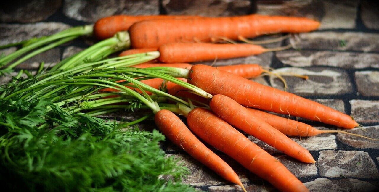 Tendersweet Gourmet Carrot Seeds Shipped with Tracking, Home Garden, Heirloom