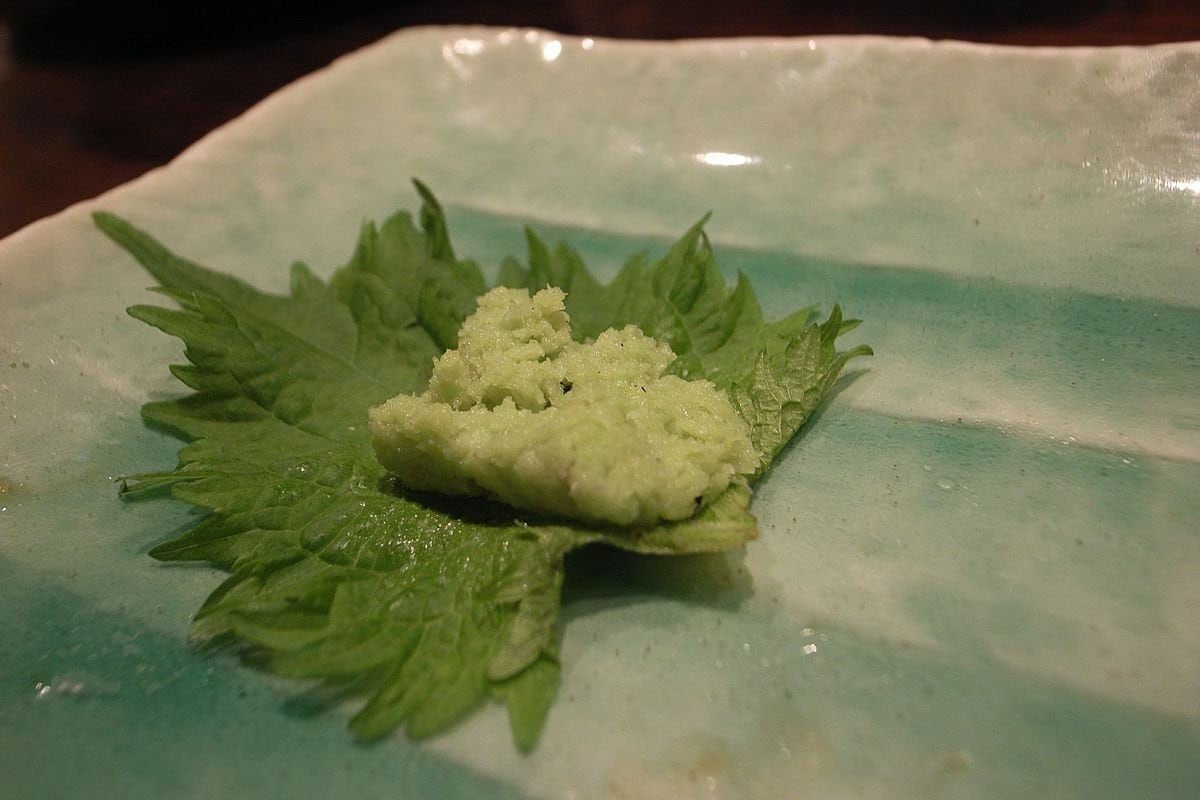 Green Shiso Seeds with Tracking, Japanese Perilla Seeds, Herb Seeds
