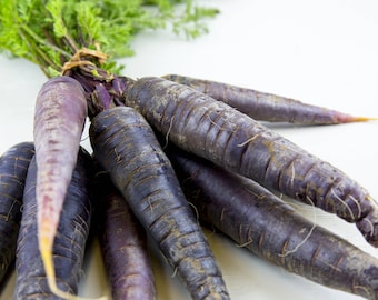 Black Nebula Carrot Seeds Non-GMO Heirloom, Tracking Included, Backyard Gardening, Unique Vegetable Seeds