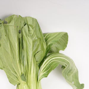 a bunch of lettuce on a white surface
