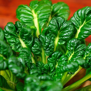 a close up of a green plant on a table