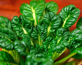 Tat Soi Chinese Cabbage Seeds with Tracking, Heirloom Seeds, Non-GMO Seeds, Garden Supplies, Vegetable Seeds