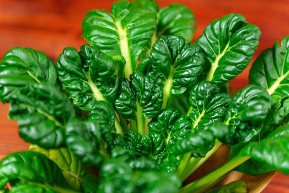 Tat Soi Chinese Cabbage Seeds with Tracking, Heirloom Seeds, Non-GMO Seeds, Garden Supplies, Vegetable Seeds