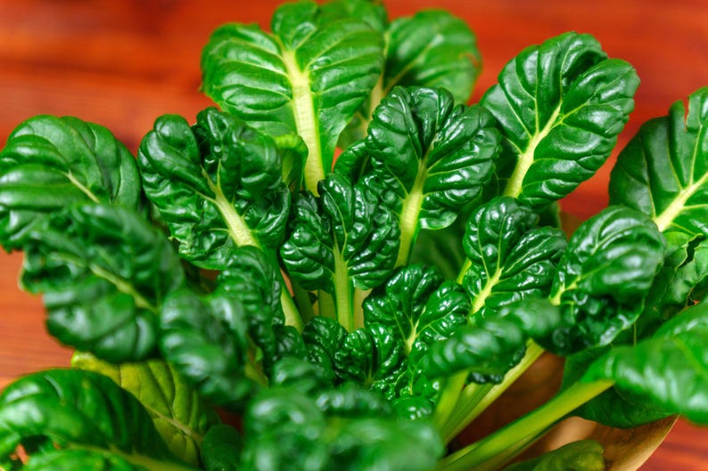 a close up of a green plant on a table