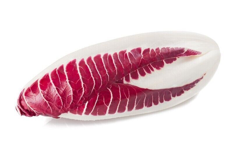 Red Treviso Endive Seeds Non-GMO, Heirloom, Non-GMO Seeds, Tracking Included