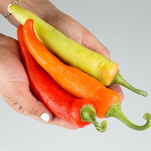 Hungarian Wax Hot Pepper Seeds, Non-GMO HEIRLOOM, Hot Banana Pepper, With Tracking Included