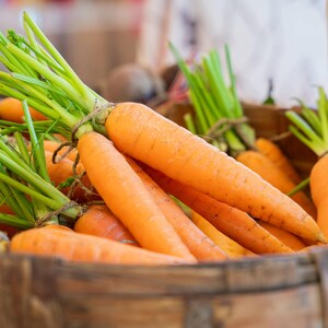 Tendersweet Gourmet Carrot Seeds Shipped with Tracking, Home Garden Seeds, Heirloom Seeds, Planting Supplies, Gardener Gift