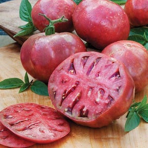 CHEROKEE PURPLE Beefsteak Tomato Seeds Heirloom Non-GMO, Tracking Included