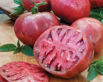 CHEROKEE PURPLE Beefsteak Tomato Seeds Heirloom Non-GMO, Tracking Included